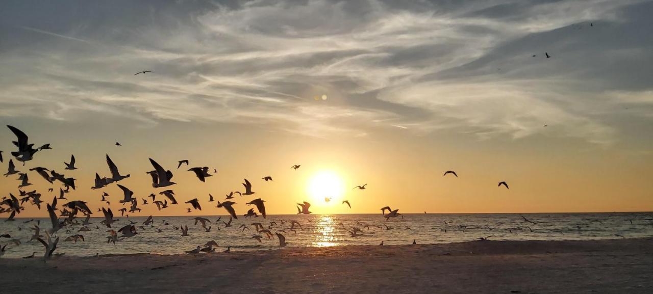 فيلا Sunset Vistas 603W سانت بيتي بيتش المظهر الخارجي الصورة